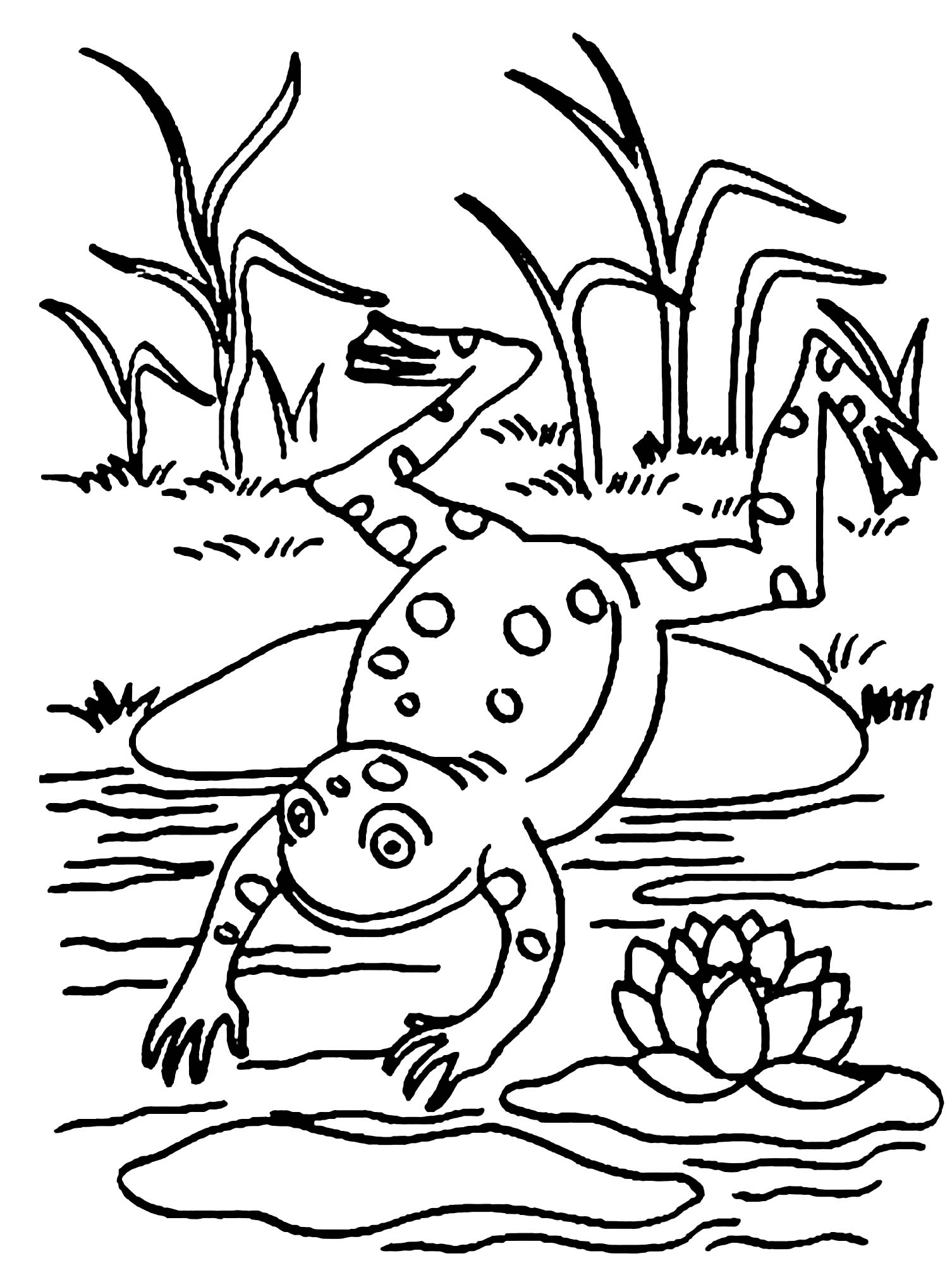 Simple frog coloring for kids