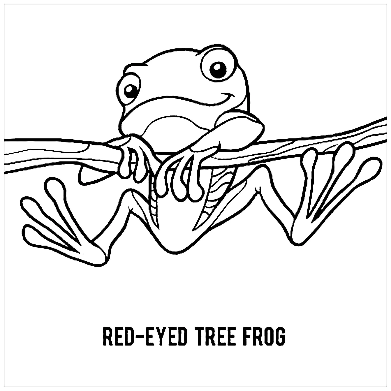Free frog coloring page