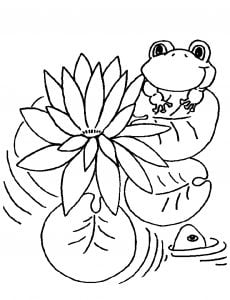 Frog on lily pad coloring page Lovely Lily Pad Coloring Page New Conventional Lily Pad Coloring Page