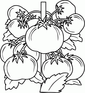 Coloring page fruits and vegetables to download