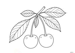 Two pretty cherries (Fruits And Vegetables Coloring Page)