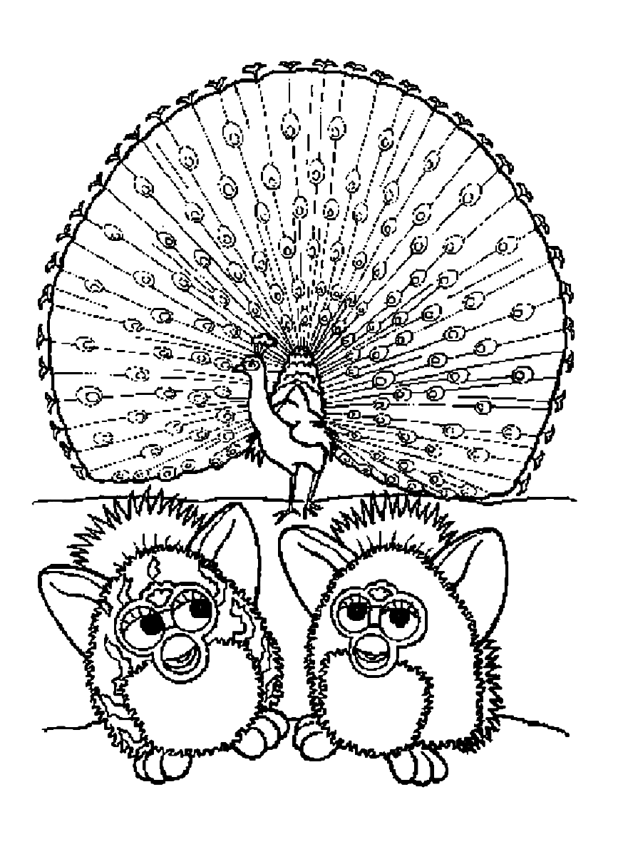 Two Furbys and a peacock to color