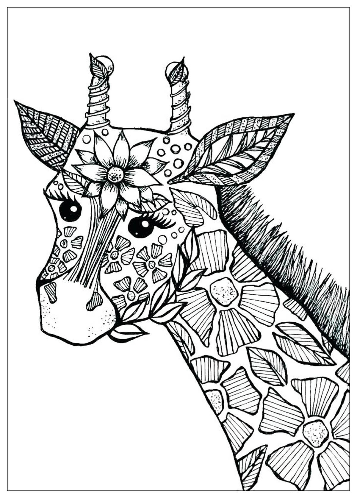Giraffes coloring page with few details for kids