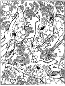 Coloring page giraffes to print for free
