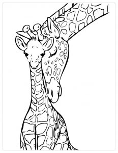 Coloring page giraffes for children