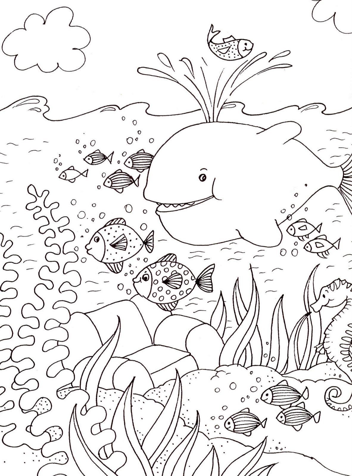 A whale and fish to color