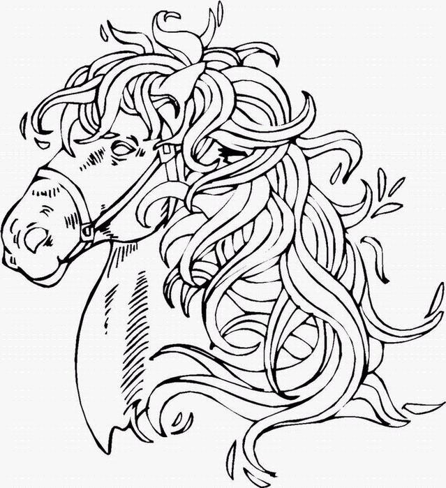 What a lovely mane to color!