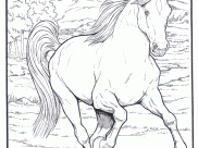 Horses Coloring Pages for Kids