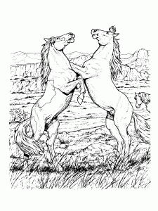 Horses Free Printable Coloring Pages For Kids