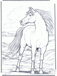 Coloring page horse for children : Beautiful horse