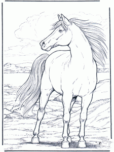 horse coloring pages for girls