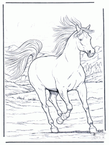 Coloring page horse free to color for kids : realistic horse drawing