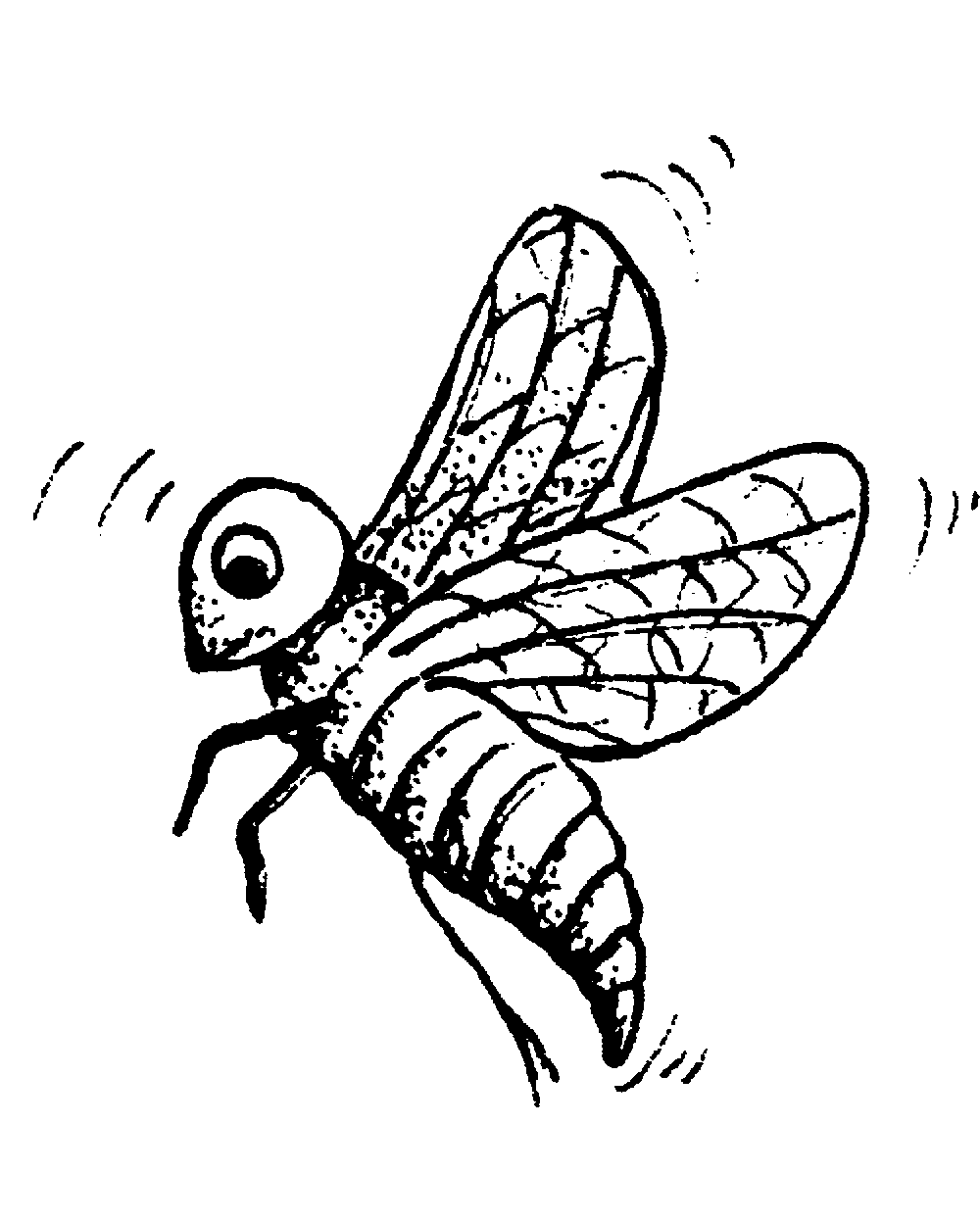 Insects coloring page to print and color