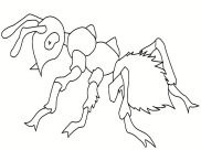Insects Coloring Pages for Kids