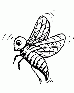 Coloring page insects to color for children