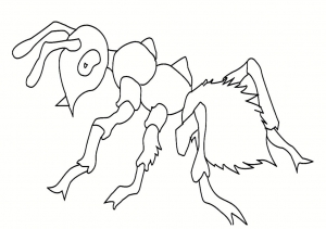 Coloring page insects to download