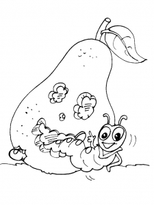 Coloring page insects for children