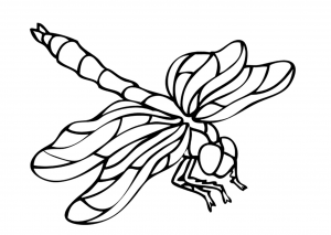 Coloring page insects to print