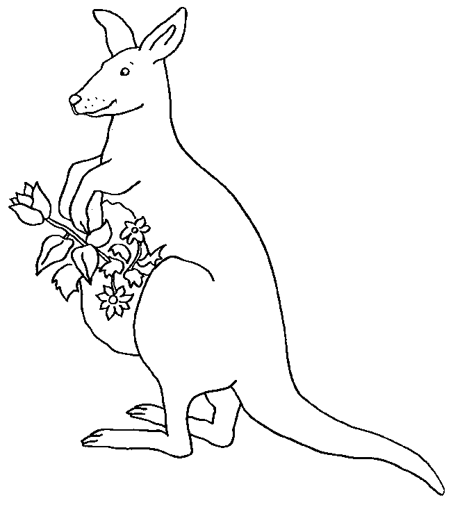 Simple kangaroo coloring for kids