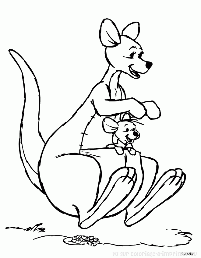 Color this beautiful kangaroo coloring page with your favorite colors
