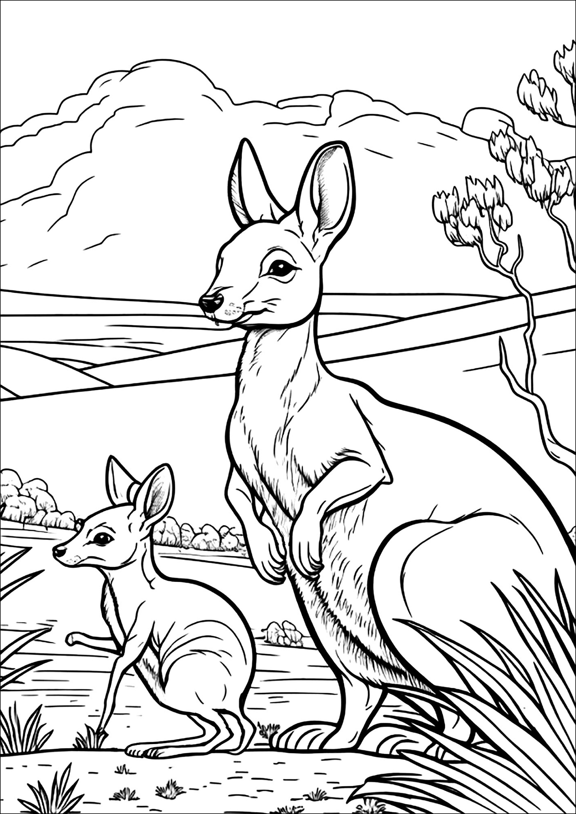 Color this mommy Kangaroo and her baby. The scene takes place in the Australian desert with rocks, cacti and dry plants. The colors you choose for this scene will give a magical character to this mother and her baby.