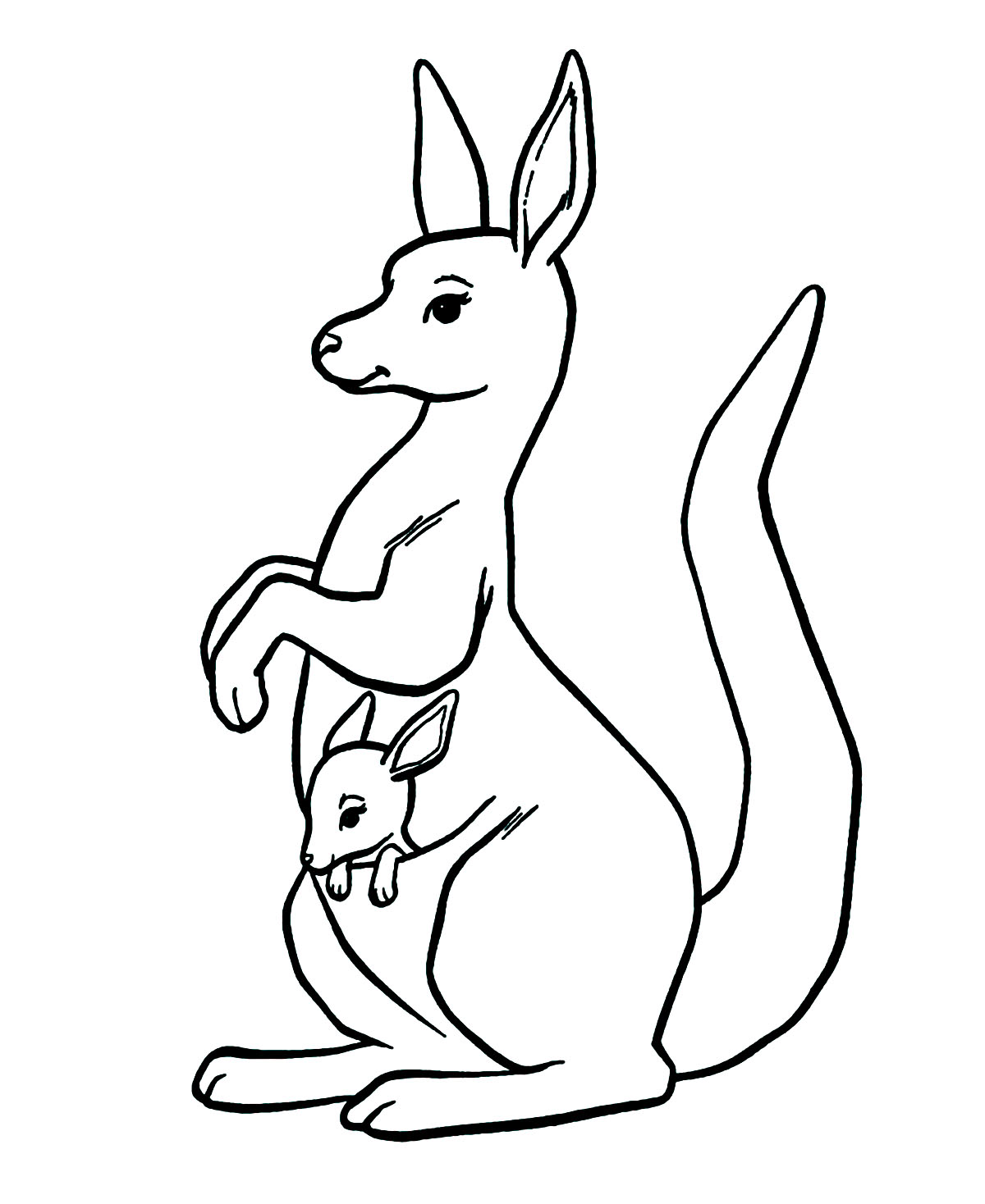 Kangaroo in the pocket   Kangaroos Kids Coloring Pages