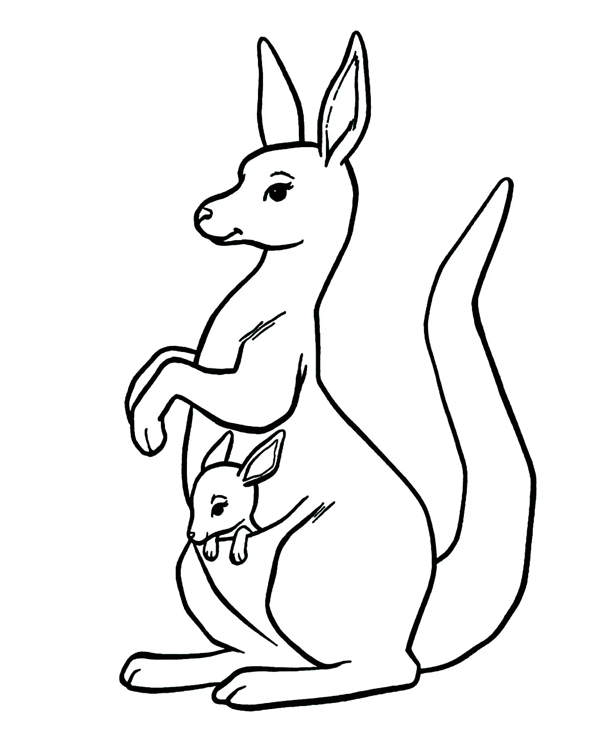 Kangaroo in the pocket (Printable Coloring Page for Kids)
