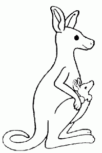 Coloring page kangaroos to color for children
