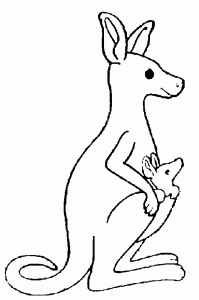 Free kangaroo drawing to download and color