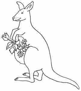 Free kangaroo coloring pages to download