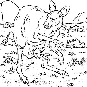 Coloring page kangaroos for children
