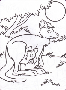 Coloring page kangaroos for children