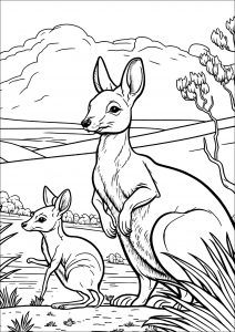 Mama Kangaroo and her baby
