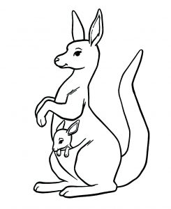 Coloring page kangaroos to color for kids