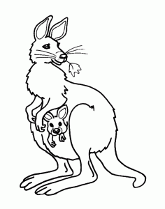 Coloring page kangaroos free to color for children