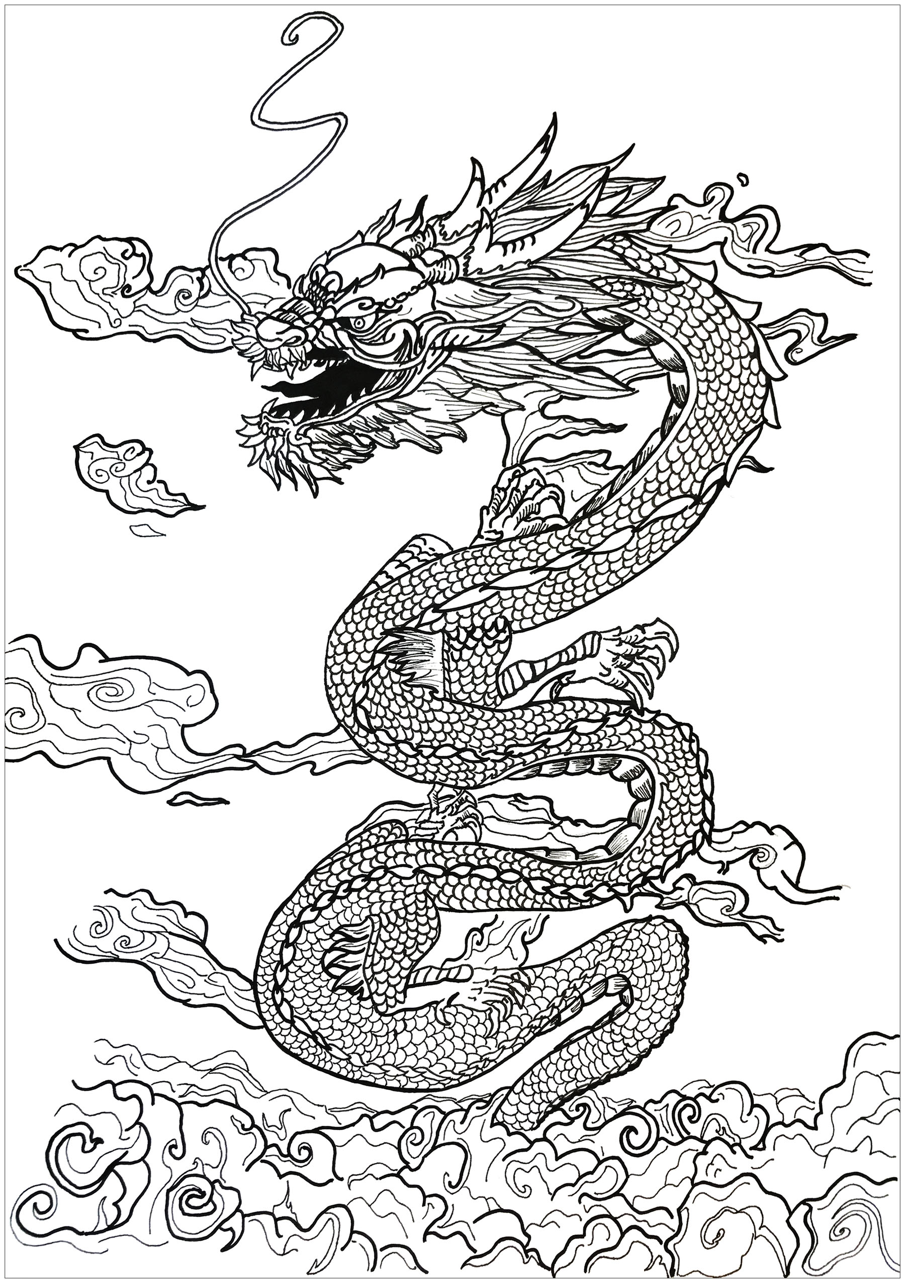 Knight, Castle and Dragon : Knights and dragons coloring page for kids Knight, Castle and Dragon : Knights and dragons coloring page for kids