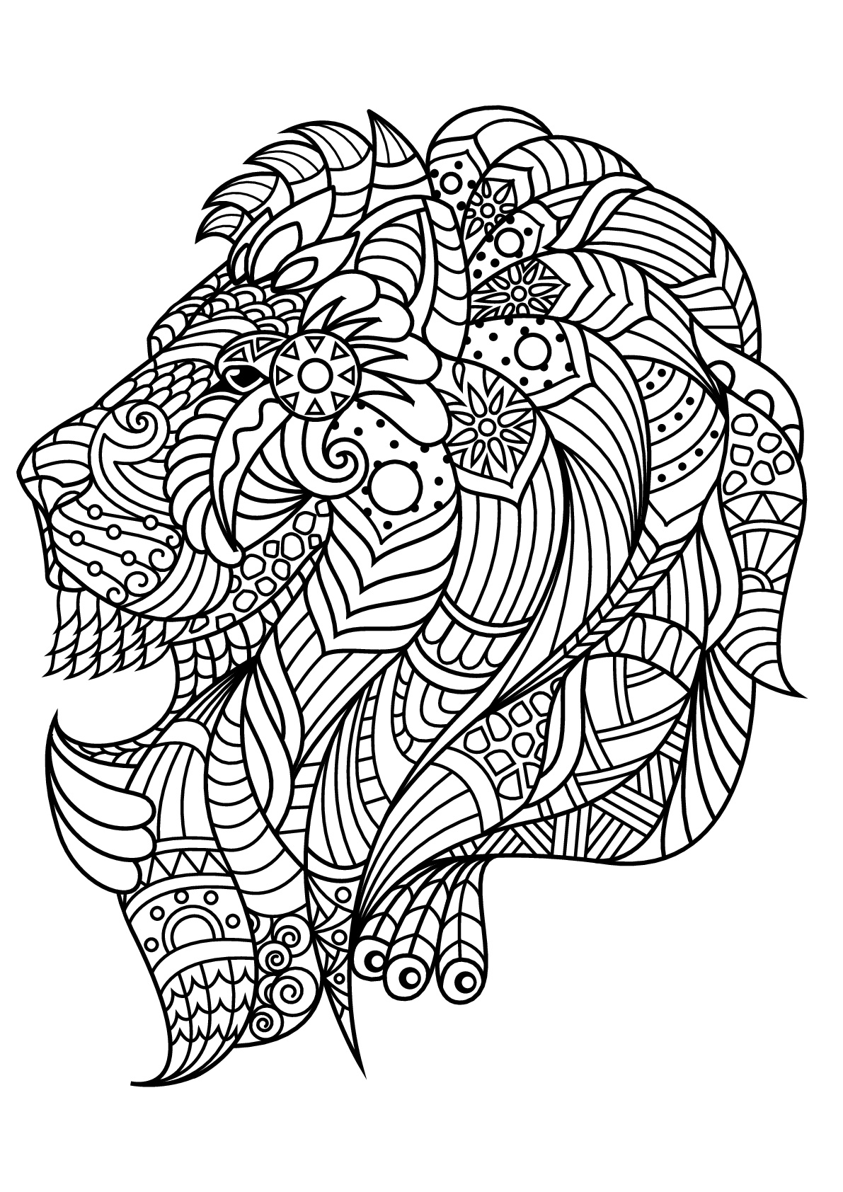 Lion head, with harmonious and complex patterns