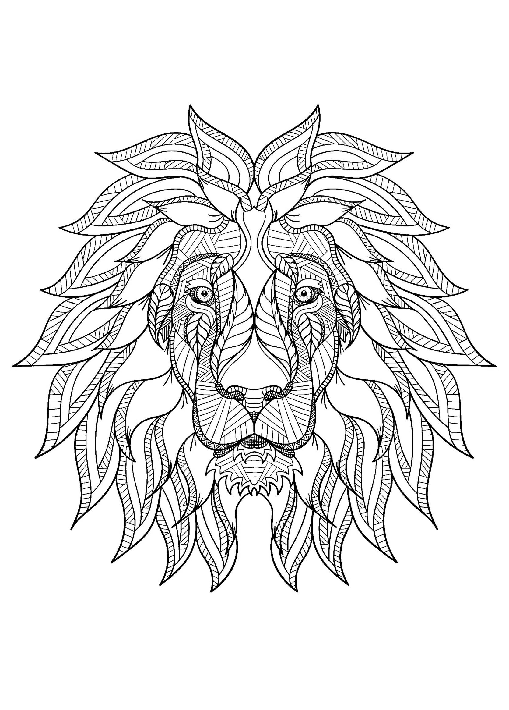 Lion s Head From The Front Lion Kids Coloring Pages