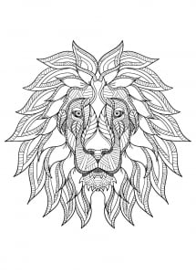 Lion's head from the front