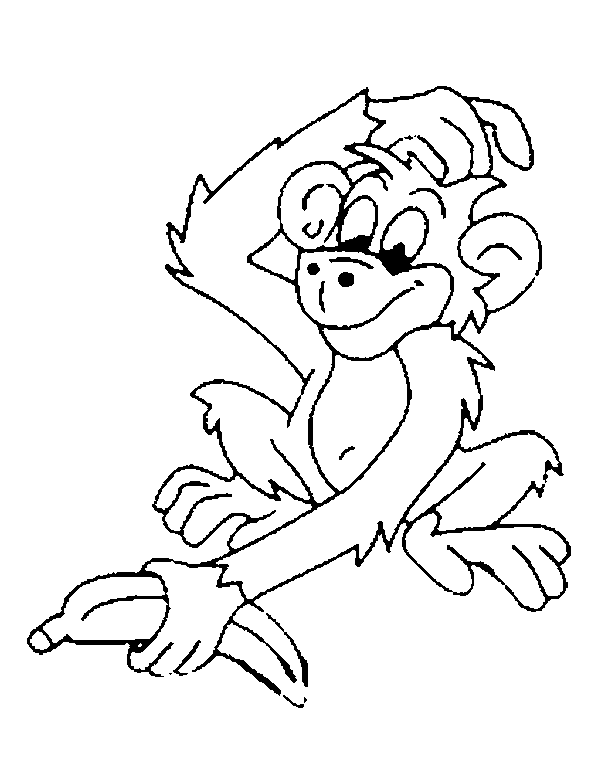 Funny monkey