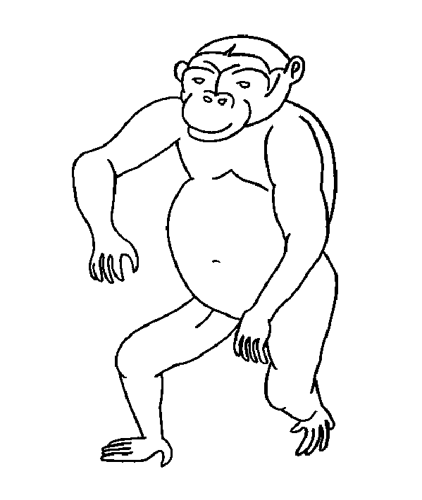 Gorilla picture to print and color