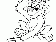 Monkeys Coloring Pages for Kids