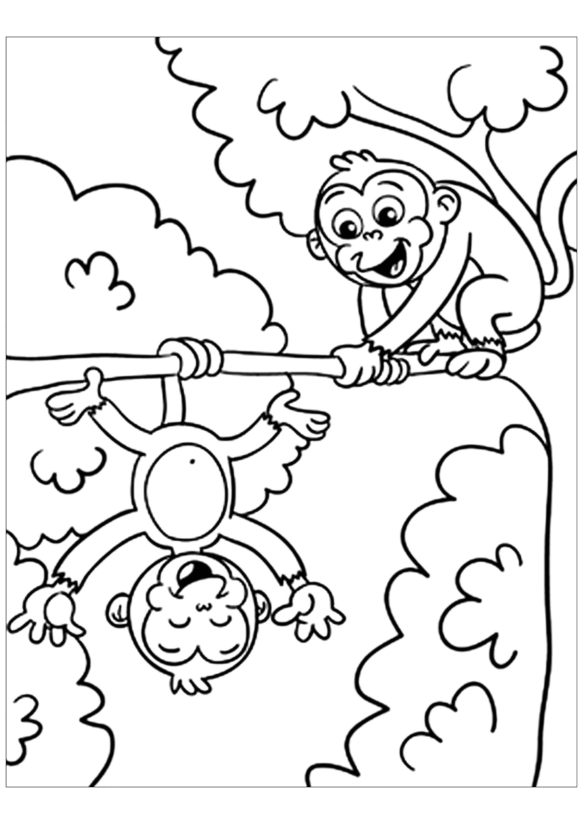 Free monkey drawing to print and color - Monkeys Kids Pages