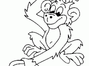 Monkeys Coloring Pages for Kids