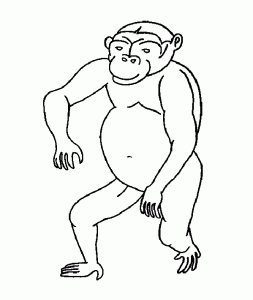 Monkey coloring pages to print for kids