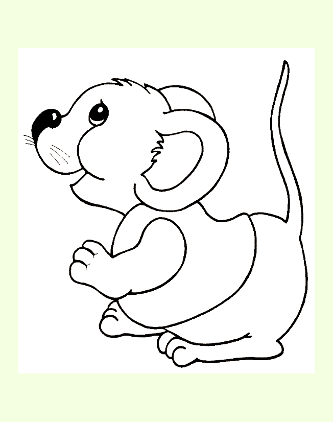 Coloring a mouse