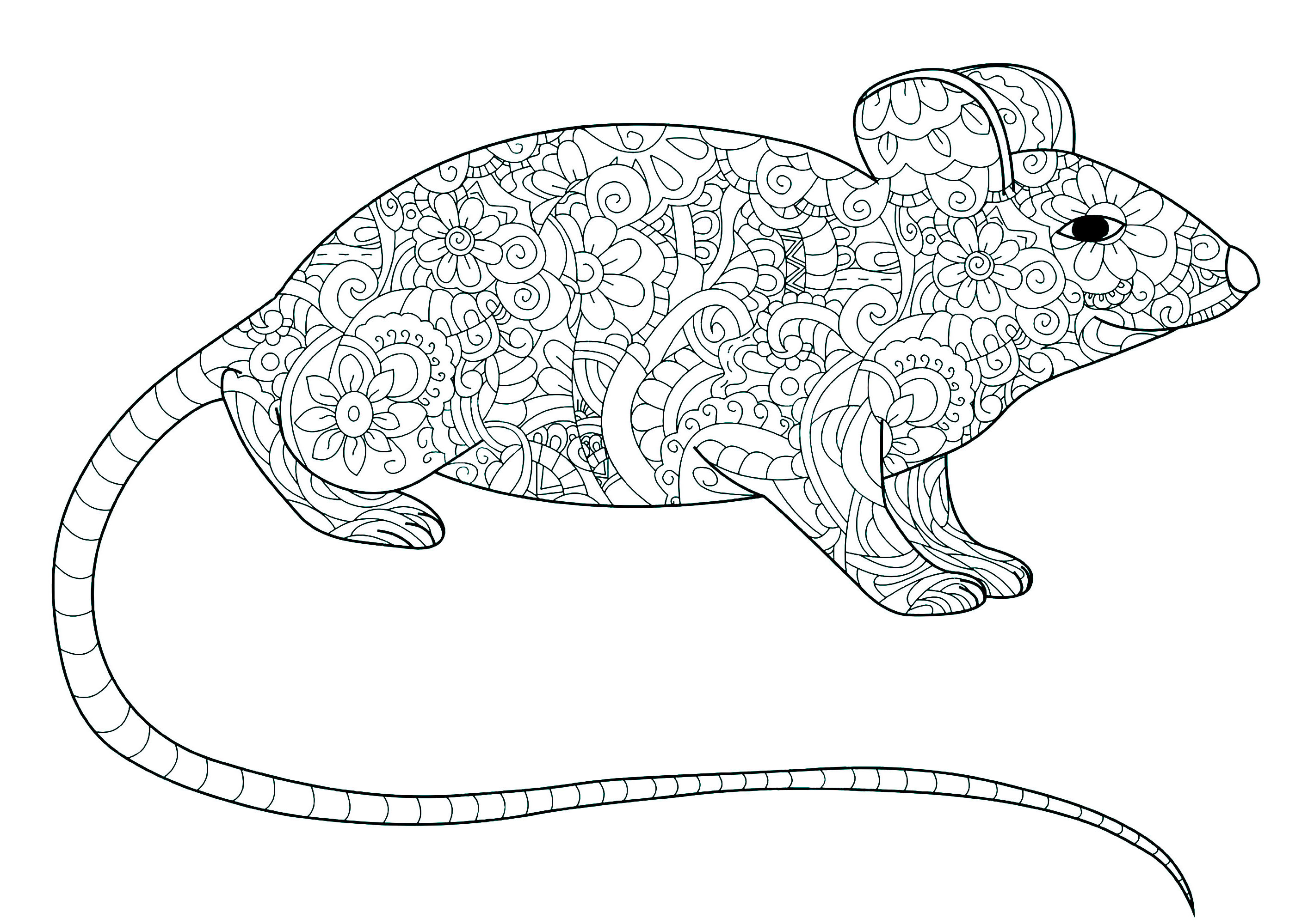 Nice simple mouse coloring for kids