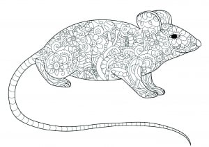 Mouse Free Printable Coloring Pages For Kids Jpg source use the download button to see the full image of mickey mouse coloring pages to print free, and download it in your computer. mouse free printable coloring pages