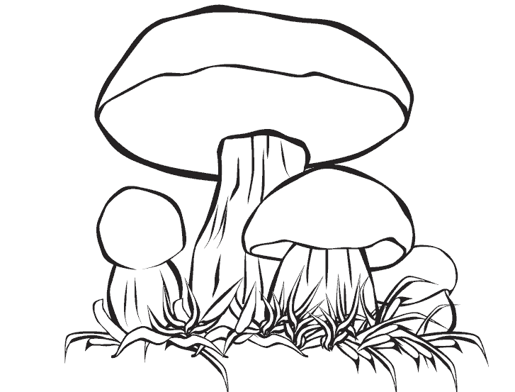 Funny Mushrooms coloring page
