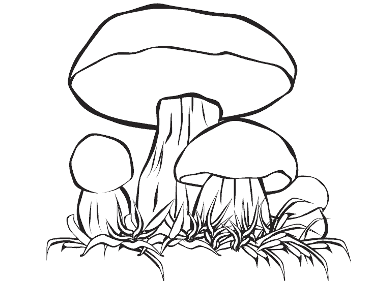 Mushroom drawing to print